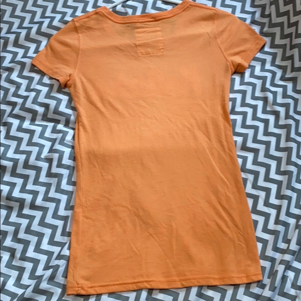 Hollister Brand - Picture 2 of 4